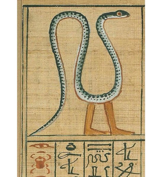 Thumbnail of p-cwgclalpja9-a67c0937951c4fd0 3