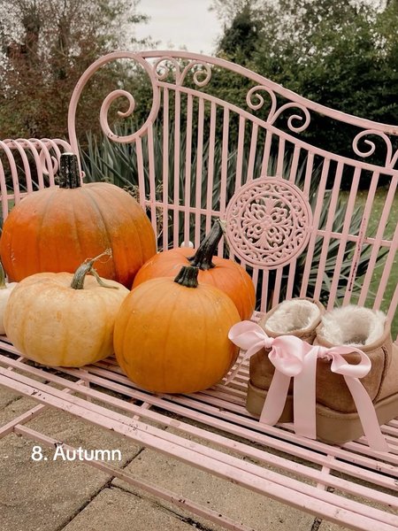 Thumbnail of p-dpjegf4aeoh-a6bbd4956dc34b9a 8