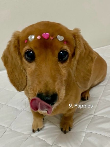 Thumbnail of p-dpjegf4aeoh-a6bbd4956dc34b9a 9