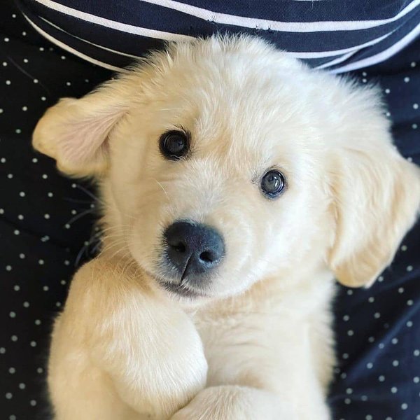 Thumbnail of p-clmumr2pekr-a6bd2b22f2a74cf2 0