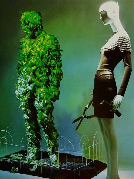 Thumbnail of www-instagram-com-p-drbb35vkdlo-img-index-1 4