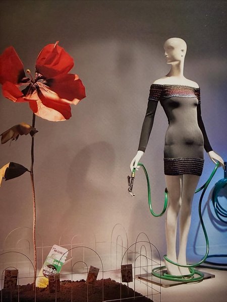 Thumbnail of www-instagram-com-p-drbb35vkdlo-img-index-1 6