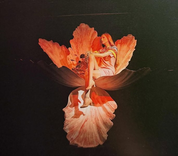 Thumbnail of www-instagram-com-p-drbb35vkdlo-img-index-1 9