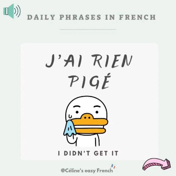 Thumbnail of p-cftwrgplg1j-a6eccfa0a0114aba 0