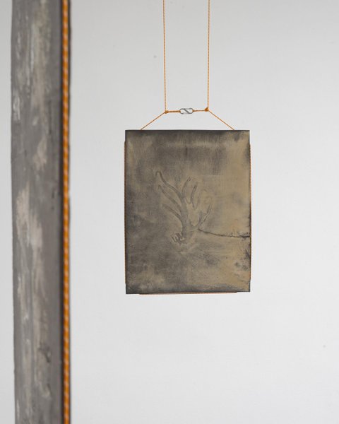 Thumbnail of p-ciicbppdqp7-a7000c9f30ec4188 2