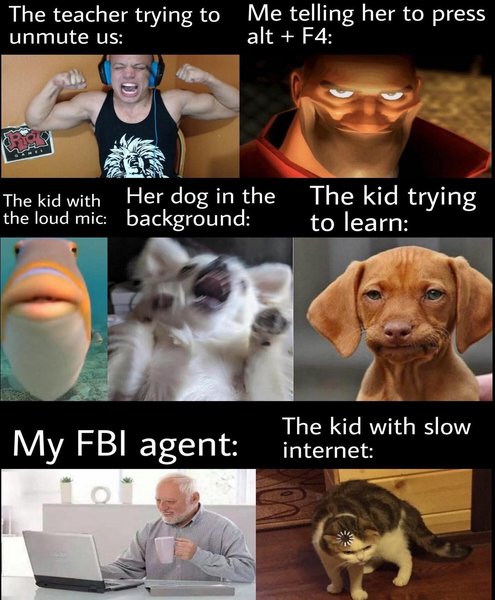 Thumbnail of p-b94vfnhl52n-a72900c75404431b 0