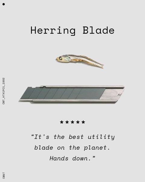 Thumbnail of p-ctrxansay8b-a77d05374b3e4236 0