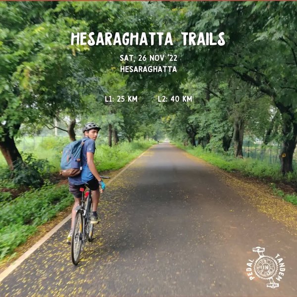 Thumbnail of p-ckdhqdylcs-a7a9ced24ea84344 6