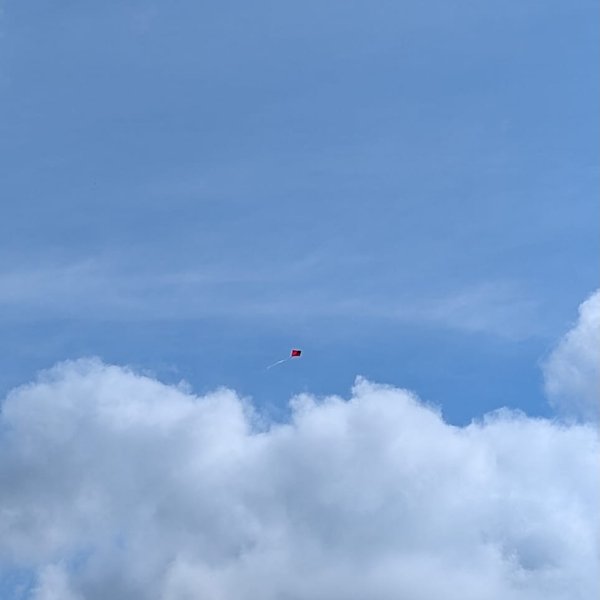 Thumbnail of p-dp3obisiu7y-a7db38e336604680 16