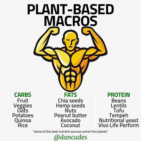 Thumbnail of p-b2cpltidj7v-a7de9b0f9f934b1b 0