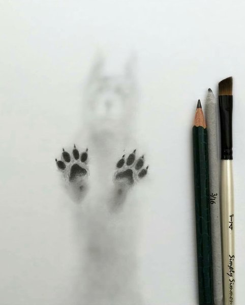 Thumbnail of p-biqwlamdiwr-a7e2837c466c4afc 2