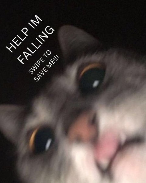 Thumbnail of p-c2niahgron8-a7f42dbfee0f4c70 0