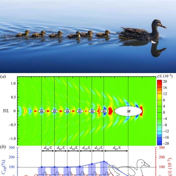 Thumbnail of c0-uanruy3j-a83389f5271d41d0 0