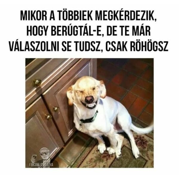 Thumbnail of p-bqkmb2wacan-a839415932e142b2 3