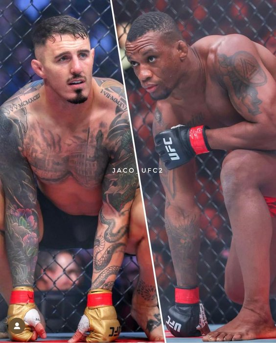 Thumbnail of www-x-com-malhadinho-ufc-status-1936571700436779015-a84c067d59e445da