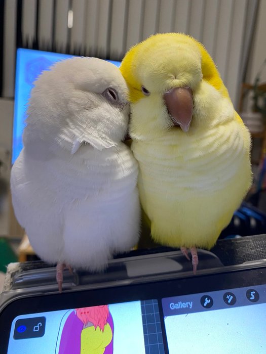 Thumbnail of www-x-com-jen-tuyet-status-1818217555594744298-a86c675ca58948d9