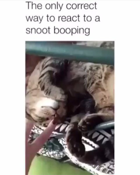 Thumbnail of p-b1erdqrl4uy-a86f7685d5224ee2 2