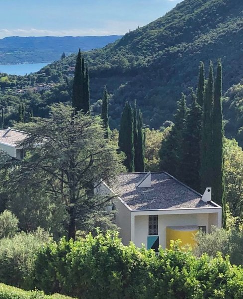 Thumbnail of p-cccbfj9rjja-a8823129f1e14825 3