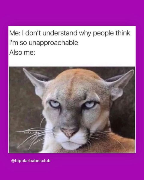 Thumbnail of p-cyckdxxjoxw-a888c7ca922b4da9 3