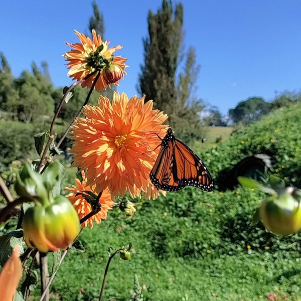 Thumbnail of p-cpqfux1brea-a9065dc1fb824064 7