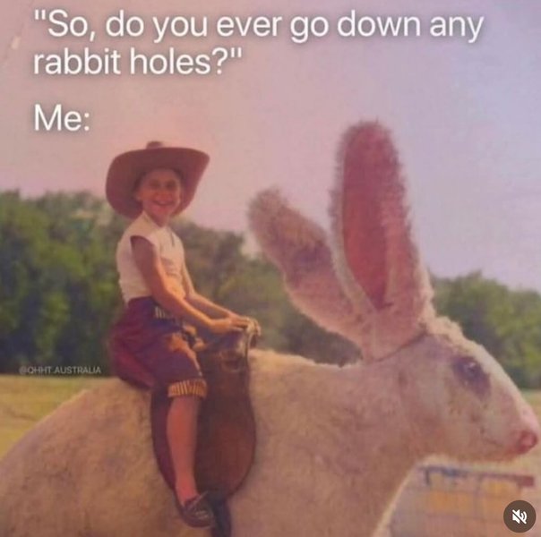 Thumbnail of p-dqapvr9dvgo-a92fe738b1ed42cd 6