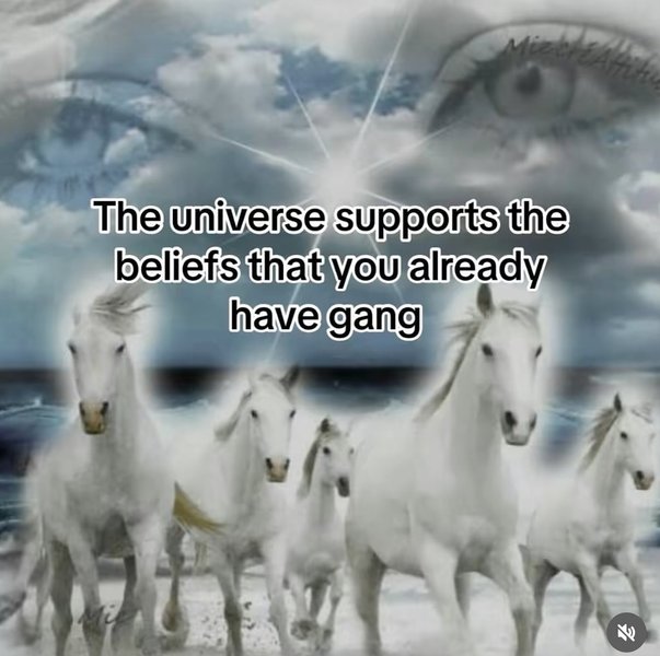 Thumbnail of p-dqapvr9dvgo-a92fe738b1ed42cd 8