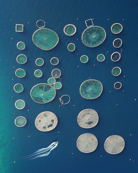 Thumbnail of p-bvcol7dg04-a93b093218ff4313 0