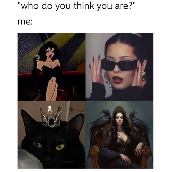 Thumbnail of p-dc9b4e4tzoc-a943c72de53c4427 0