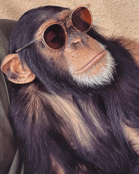 Thumbnail of p-cky4fjcjhgr-a99316d8fd5b4617 0