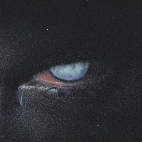 Thumbnail of cmp1w5dh-ff-a9cb8b2375a54e68 0