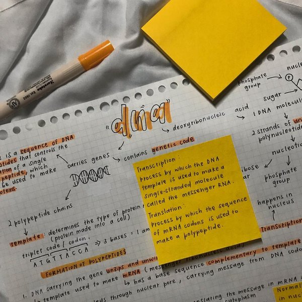 Thumbnail of btidyz-bqyq-a9d01e4d5d8d422d 0