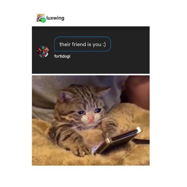 Thumbnail of p-cay57msgtpm-aa50df5b15904c52 1