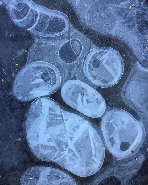 Thumbnail of p-bttzkccbarx-aa79d05ccd3147f4 0