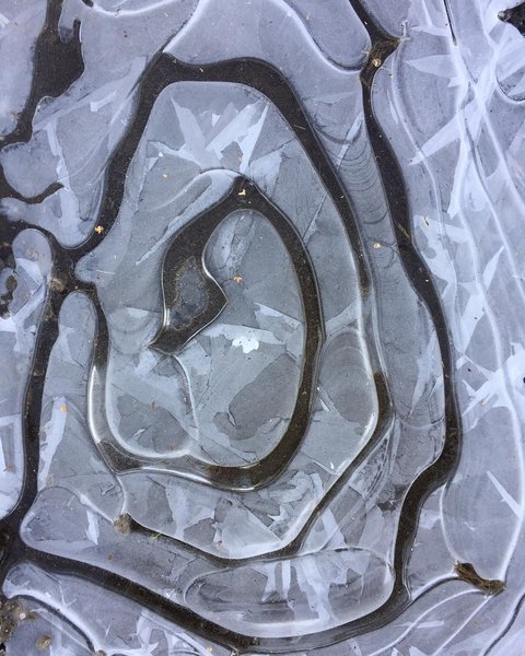 Thumbnail of p-bttzkccbarx-aa79d05ccd3147f4 1