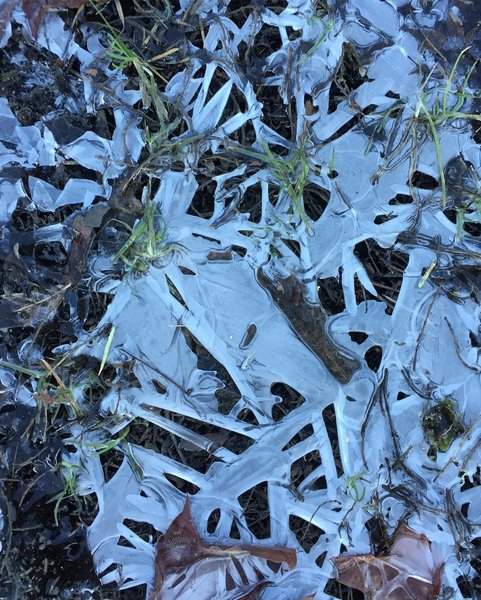 Thumbnail of p-bttzkccbarx-aa79d05ccd3147f4 2