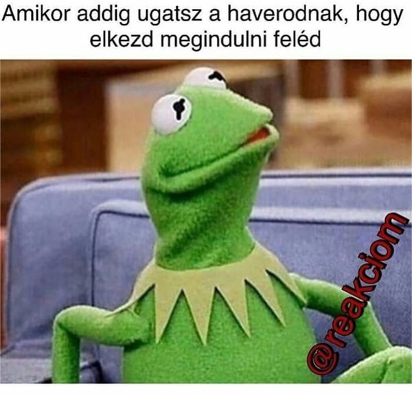 Thumbnail of p-bmxjrbwa63z-aadc6b54e90d4bf3 3