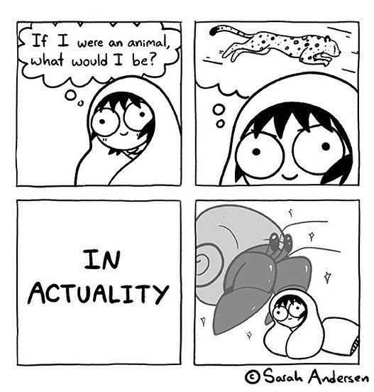 Thumbnail of p-bugtpiufxfh-aae93e645f714162 0