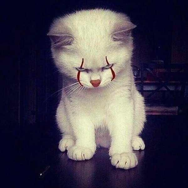 Thumbnail of bo-ceh6hunr-aafdfd26f4f34681 0