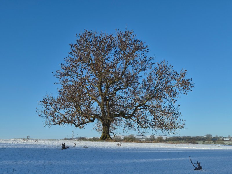 Thumbnail of mark-vernon-markvernon942268 0