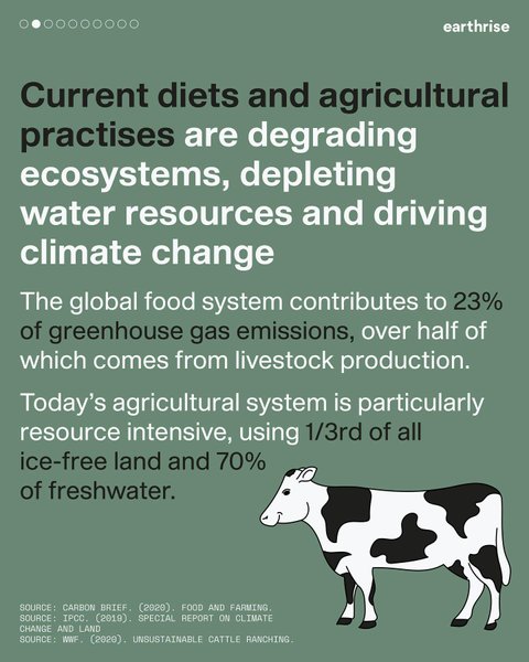 Thumbnail of p-cjydtn5boot-ab056503721f4d61 1