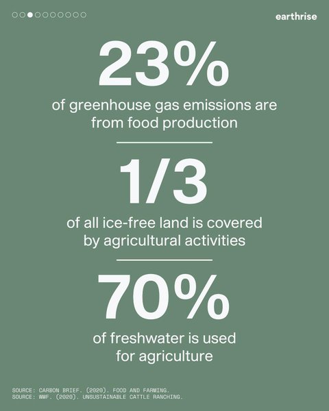 Thumbnail of p-cjydtn5boot-ab056503721f4d61 2