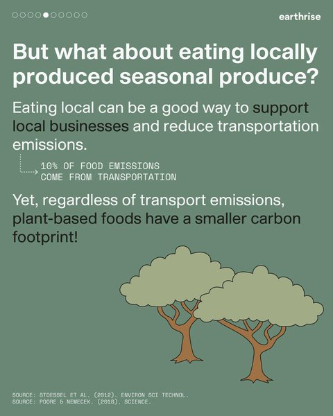 Thumbnail of p-cjydtn5boot-ab056503721f4d61 4