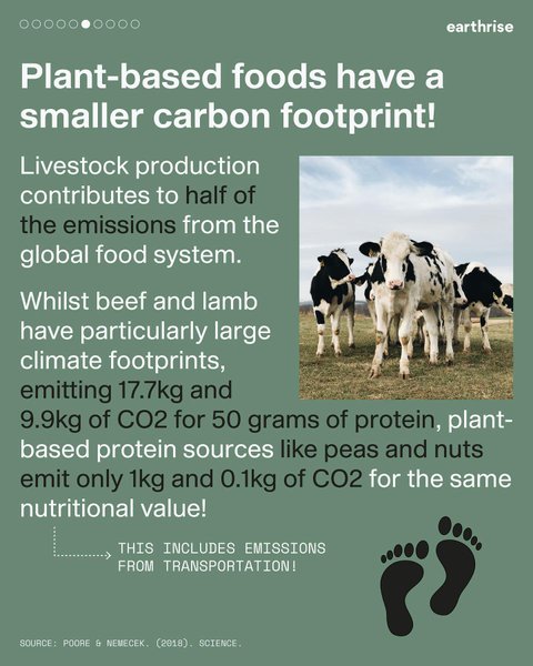 Thumbnail of p-cjydtn5boot-ab056503721f4d61 5