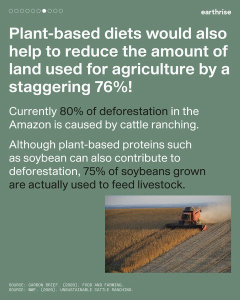 Thumbnail of p-cjydtn5boot-ab056503721f4d61 6