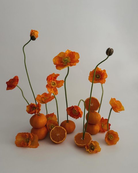 Thumbnail of p-c1boco9xots-ab05cc42bded48c1 0