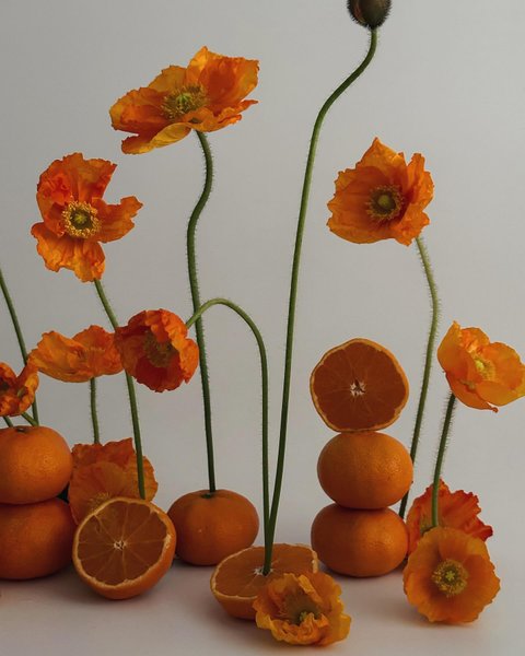 Thumbnail of p-c1boco9xots-ab05cc42bded48c1 1