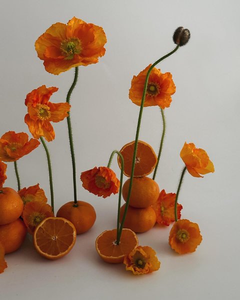 Thumbnail of p-c1boco9xots-ab05cc42bded48c1 2