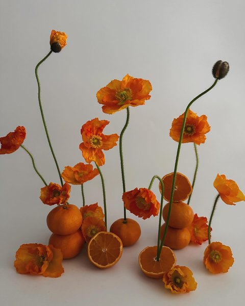 Thumbnail of p-c1boco9xots-ab05cc42bded48c1 3