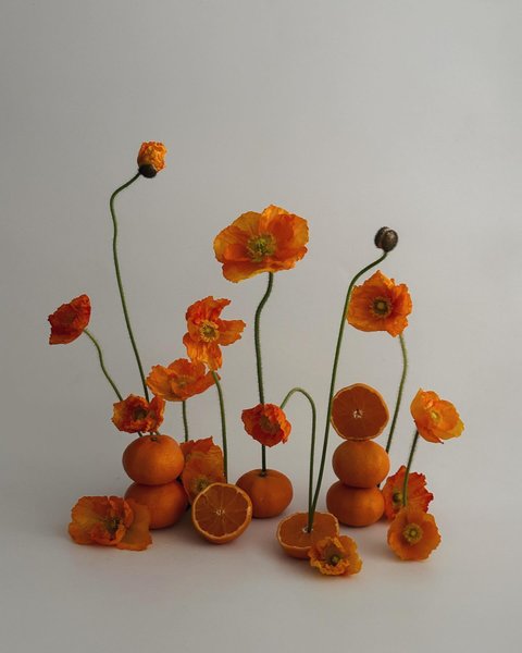 Thumbnail of p-c1boco9xots-ab05cc42bded48c1 4