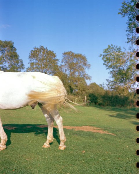 Thumbnail of p-cgqn9acgp08-ab0ed061e2dd4775 0